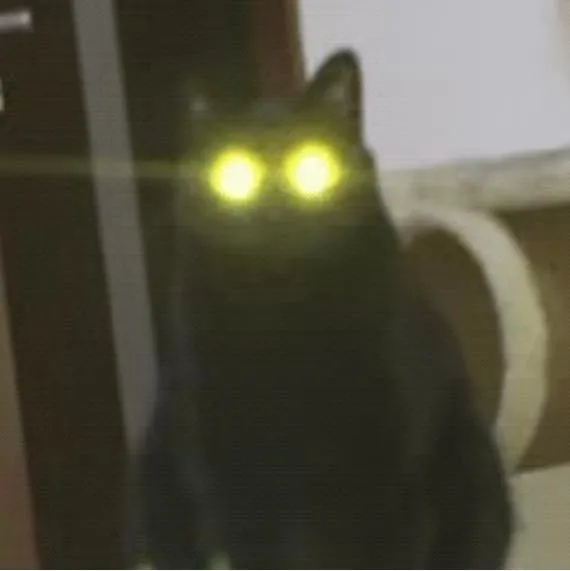 1.webp.jpg