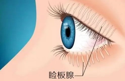 微信圖片_20220907104008.jpg