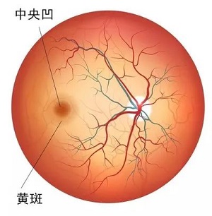 微信圖片_20220922100715.jpg