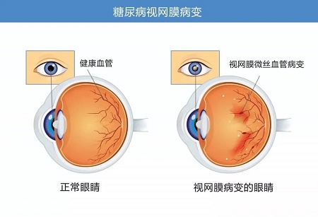 微信圖片_20221201111116.jpg