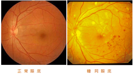 微信圖片_20230330105115.png