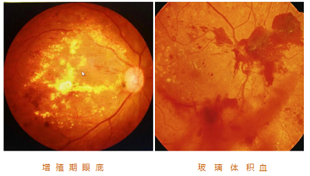 微信圖片_20230330105135.png